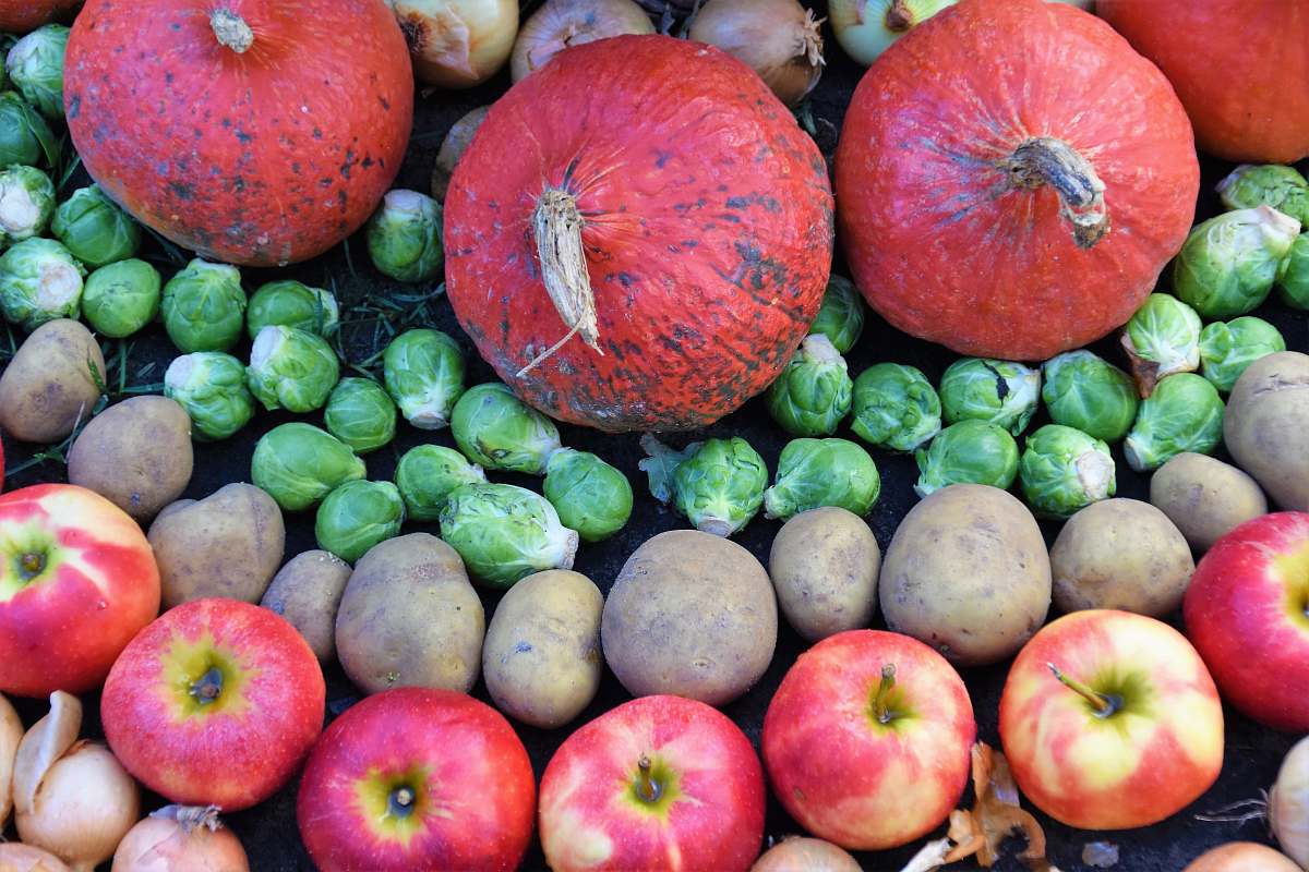 food pile of fruits apple