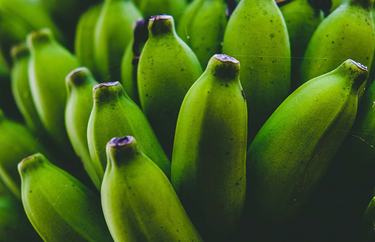 food shallow focus photo of green bananas fruit