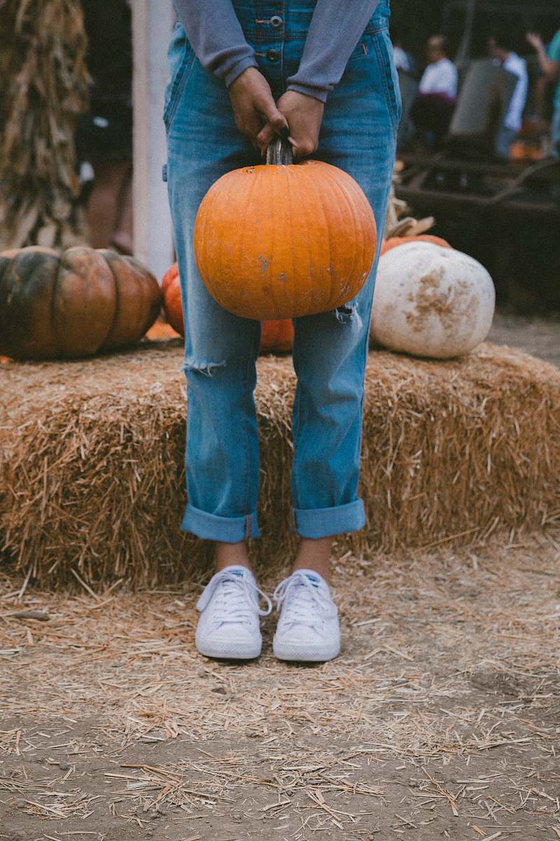 plant woman carrying pumpkin while standing beside hay food