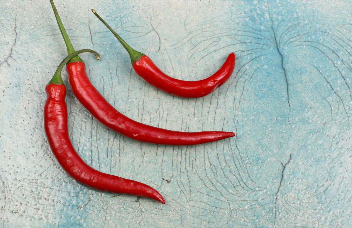 food three red chili on gray surface flora
