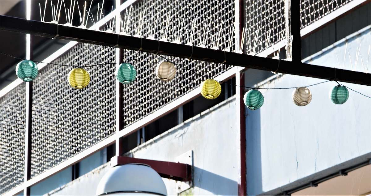 clothing assorted-color Chinese lanterns near building during daytime building