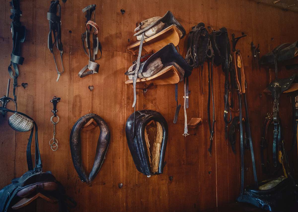 clothing brown leather saddles on brown wall brown