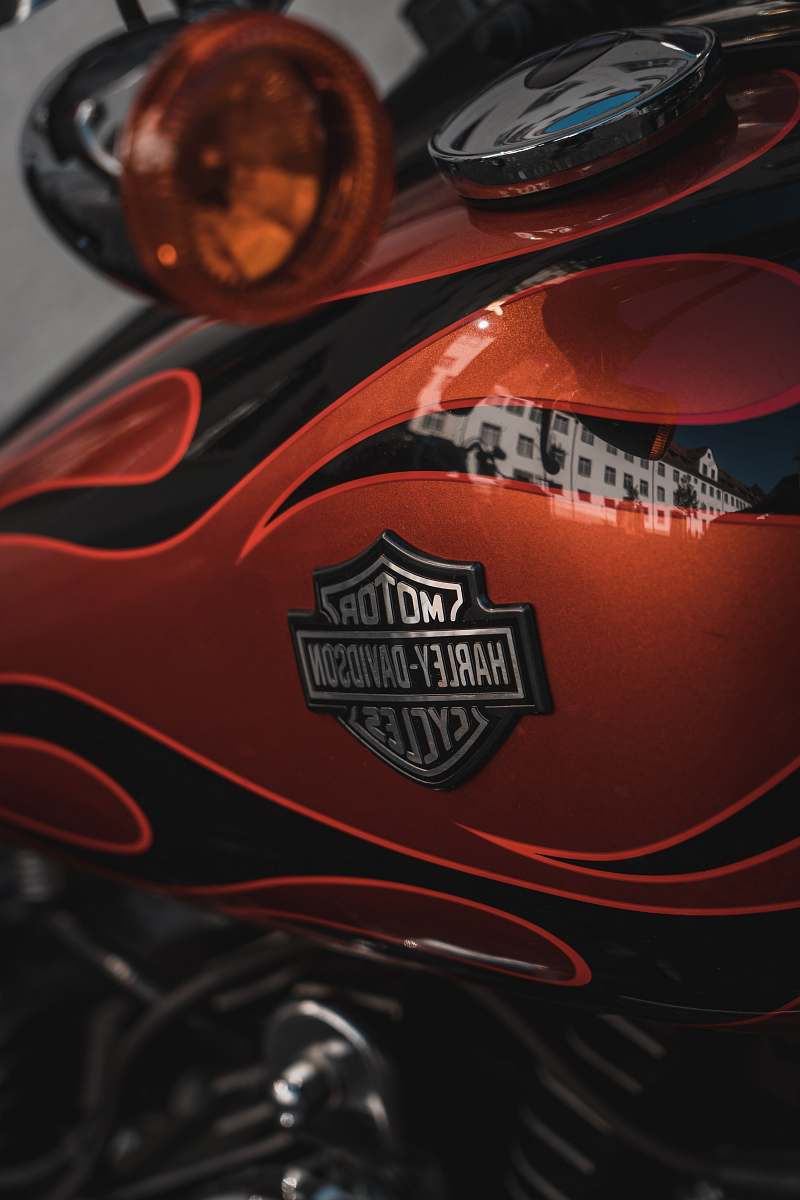 clothing red and black Harley-Davidson motorcycle brown