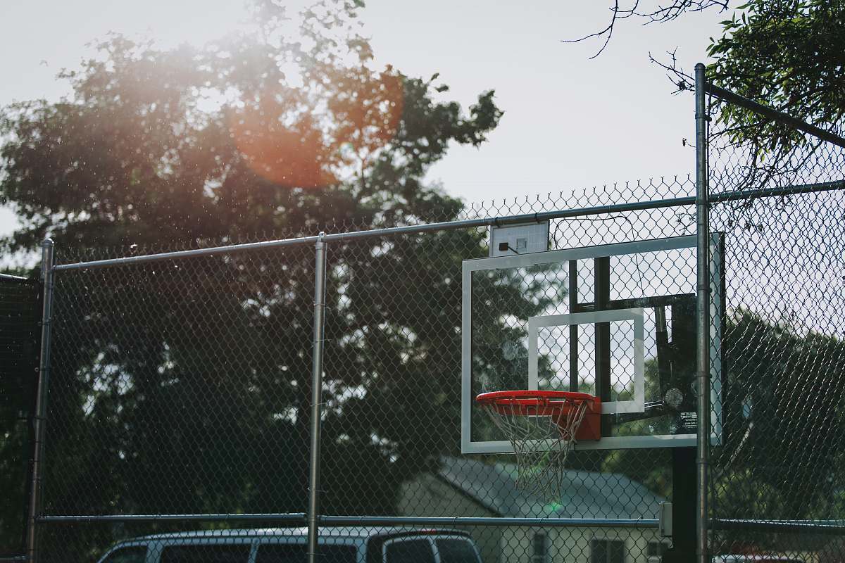 flora black and white basketball hoop plant