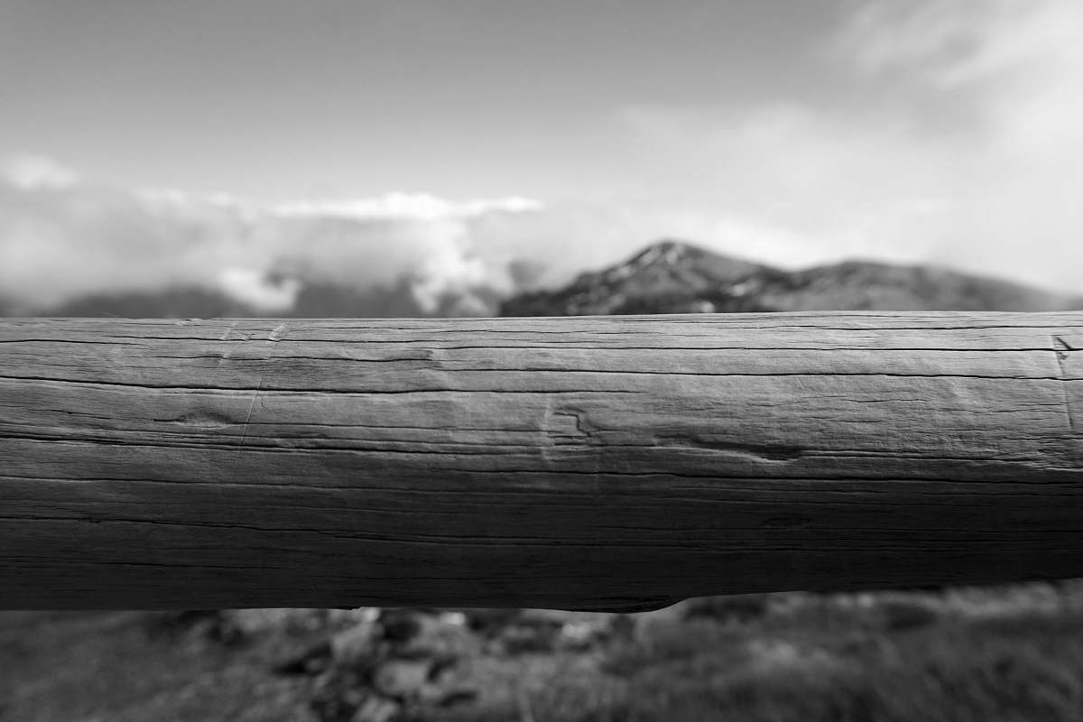 bench greyscale photo of log furniture