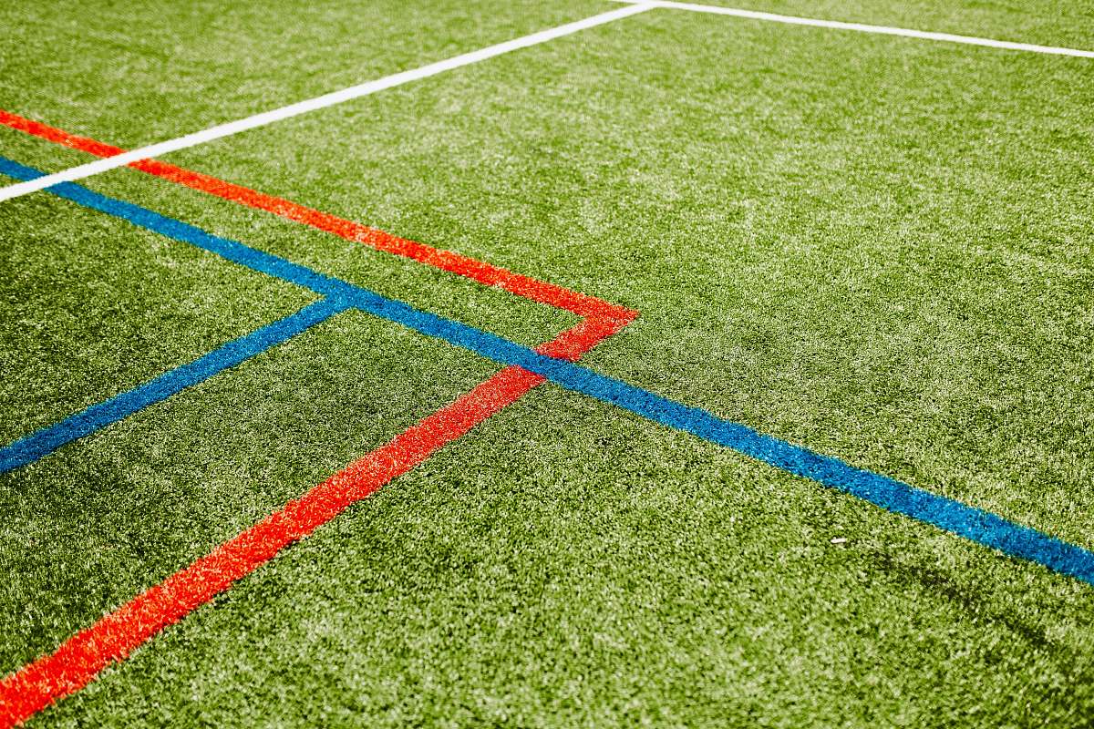 field green grass field sport