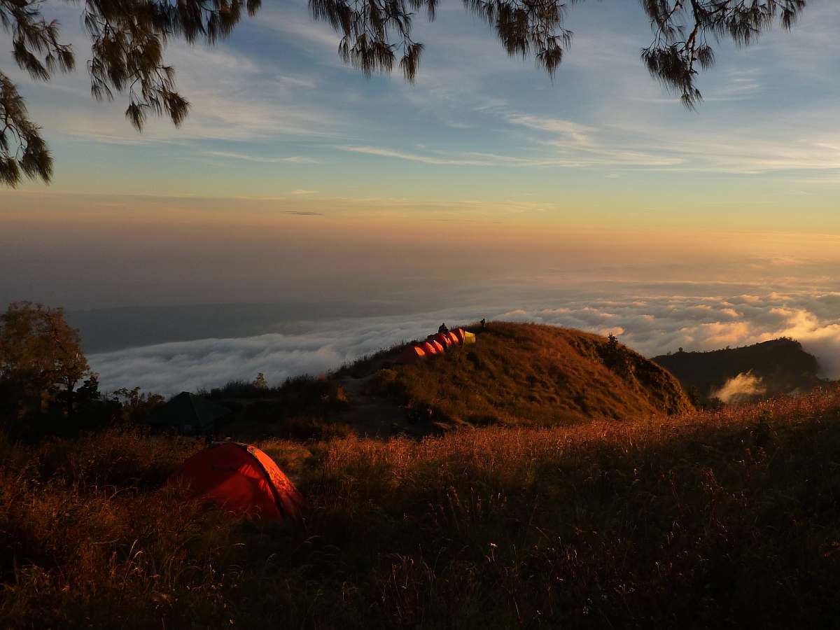 clouds orange dome tent on green lawn grass dawn