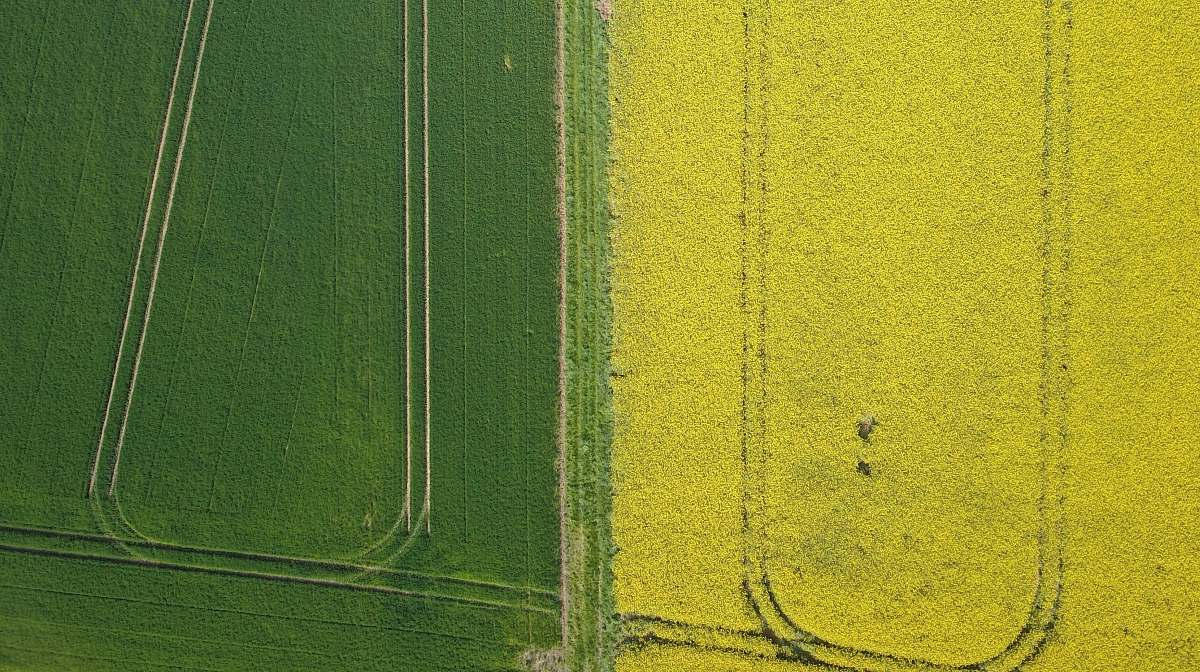 sport aerial photo of grass field sports