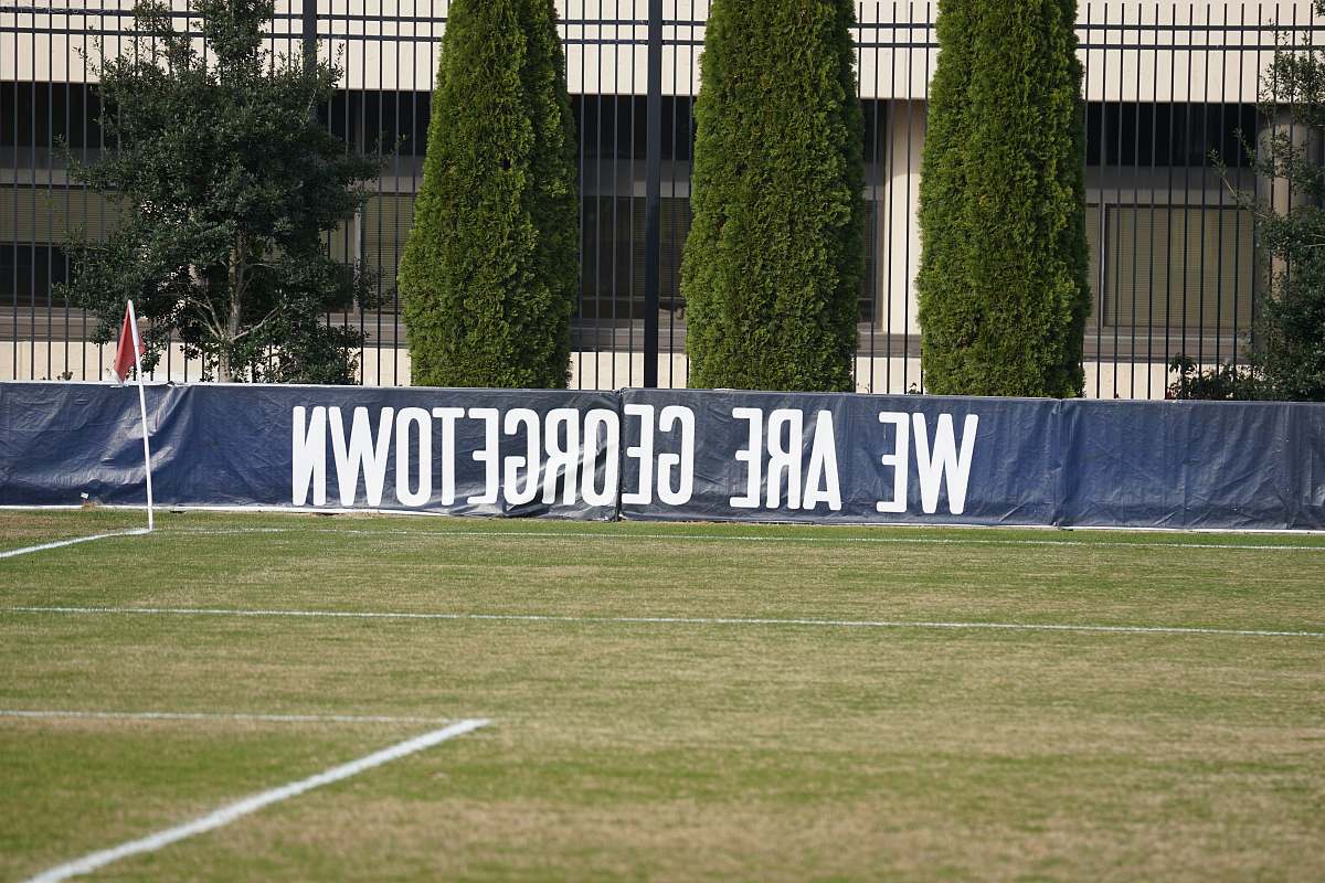 grass blue and white Georgetown banner plant