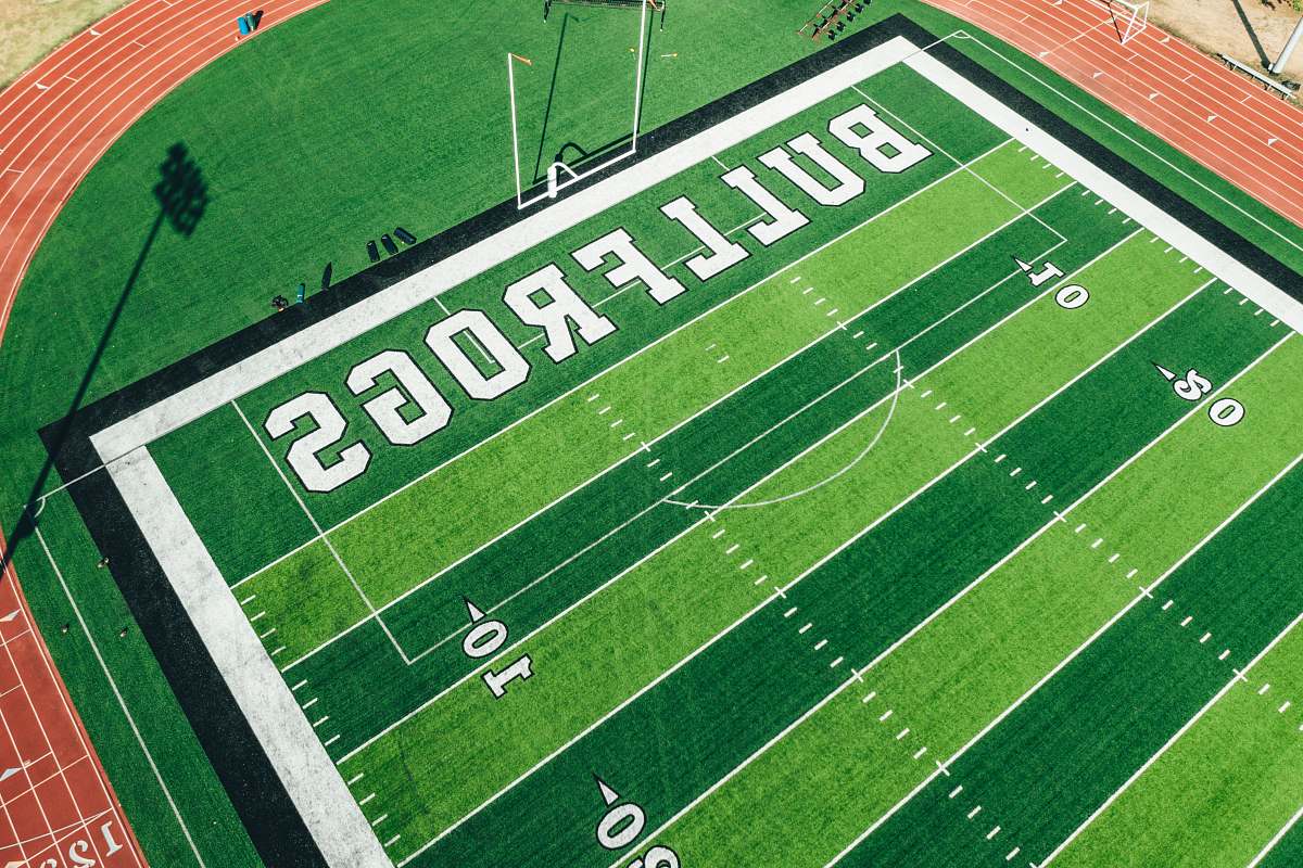 building Bullfrogs soccer stadium football