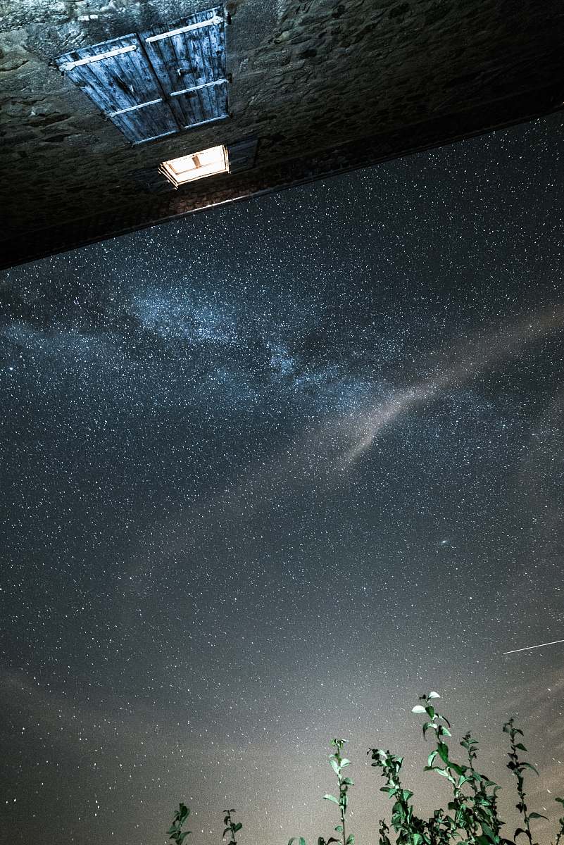 ivy low angle photo of gray building under stargazing phenomenon plant