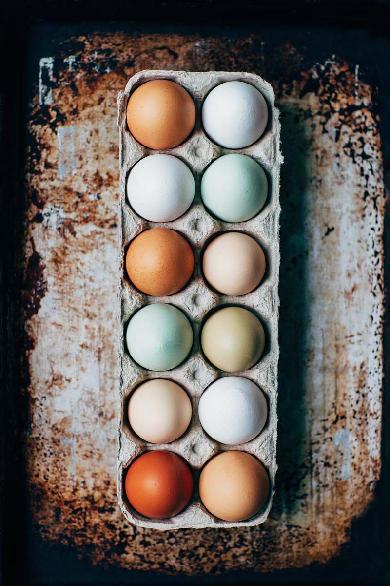 farm dozen eggs on tray halifax