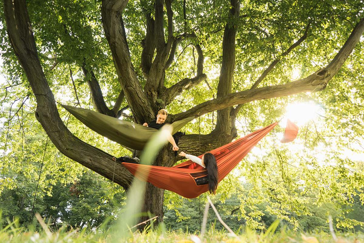 hammock two person on hammock on tree tree