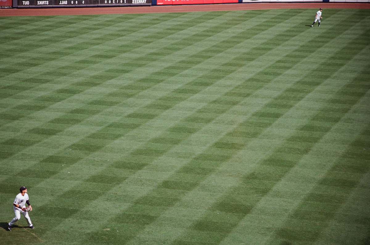 baseball baseball player about to throw baseball on field baseball field