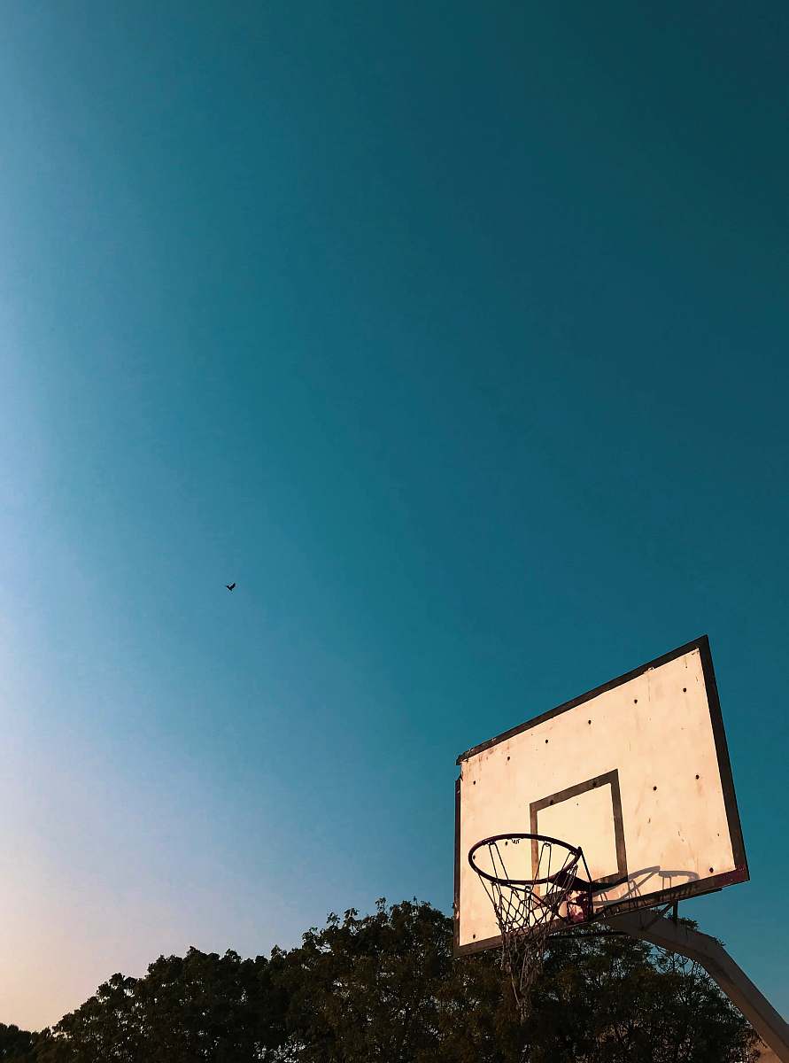 blue photo of white and black basketball hoops animal