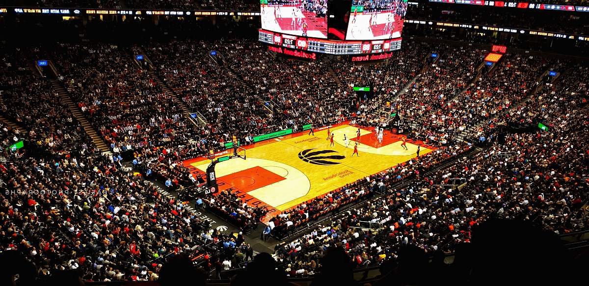 person basketball stadium with crowded people building