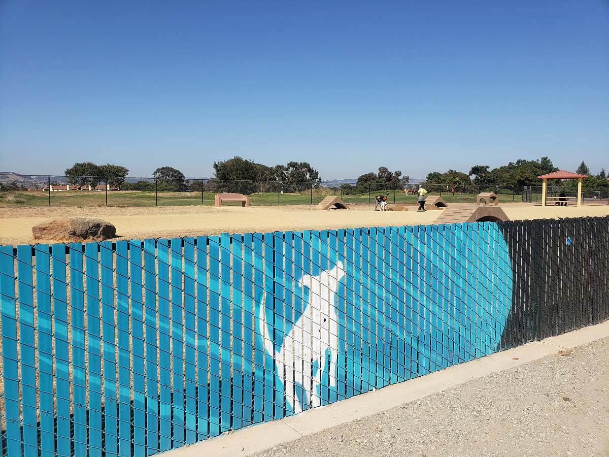 person blue and black fence close-up photography people