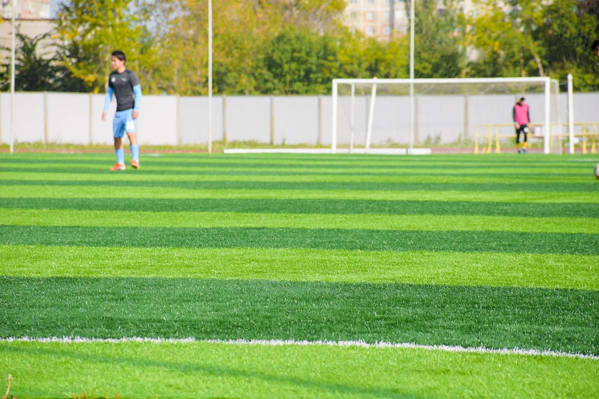 person green grass field