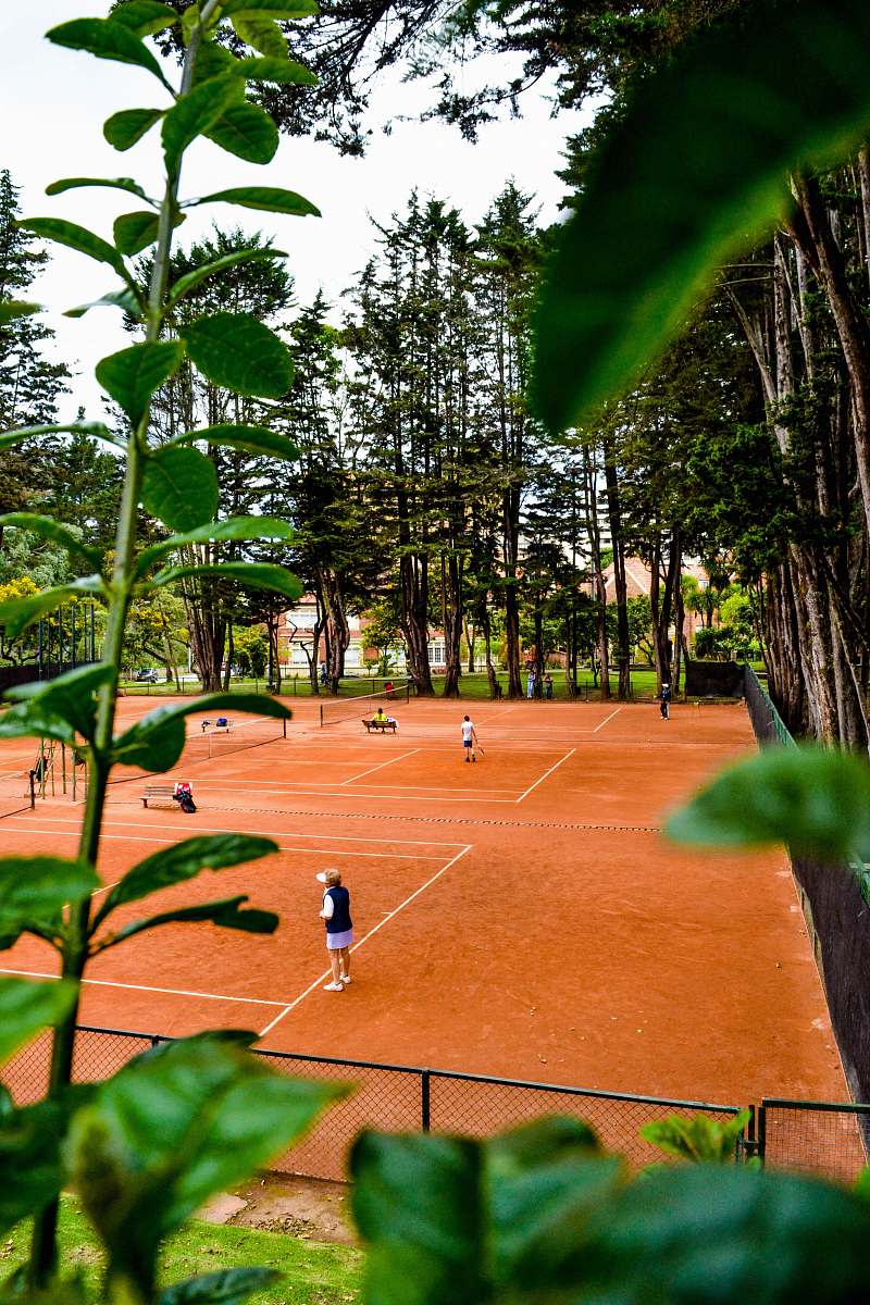 basketball group of people on court basketball court