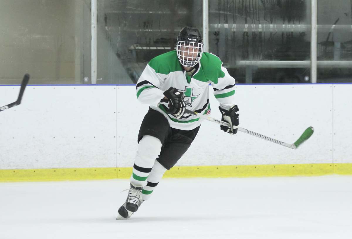 person ice hockey player holding stick sports