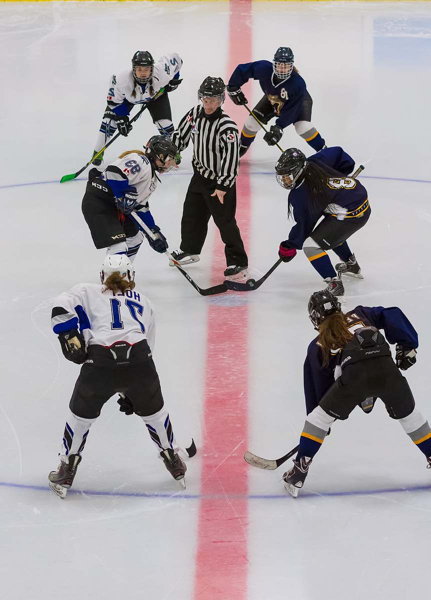 sport ice hockey players sports