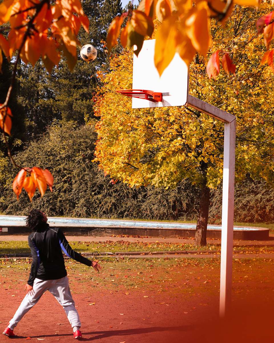 person man by a basketball ring leaf