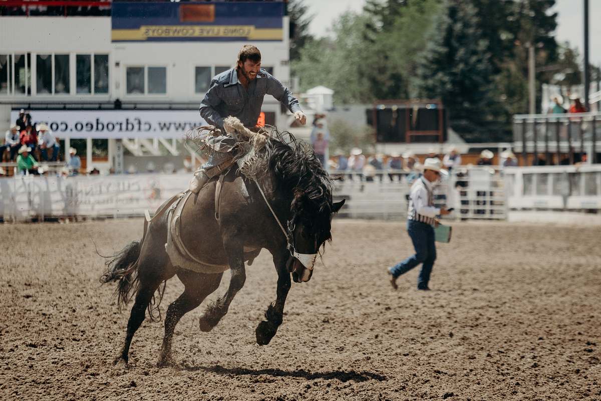 people man riding a horse rodeo