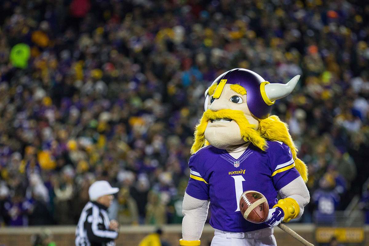 person Minnesota Vikings mascot Image - Free Stock Photo