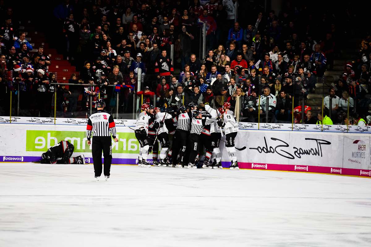 people people watching players on ice rink sports