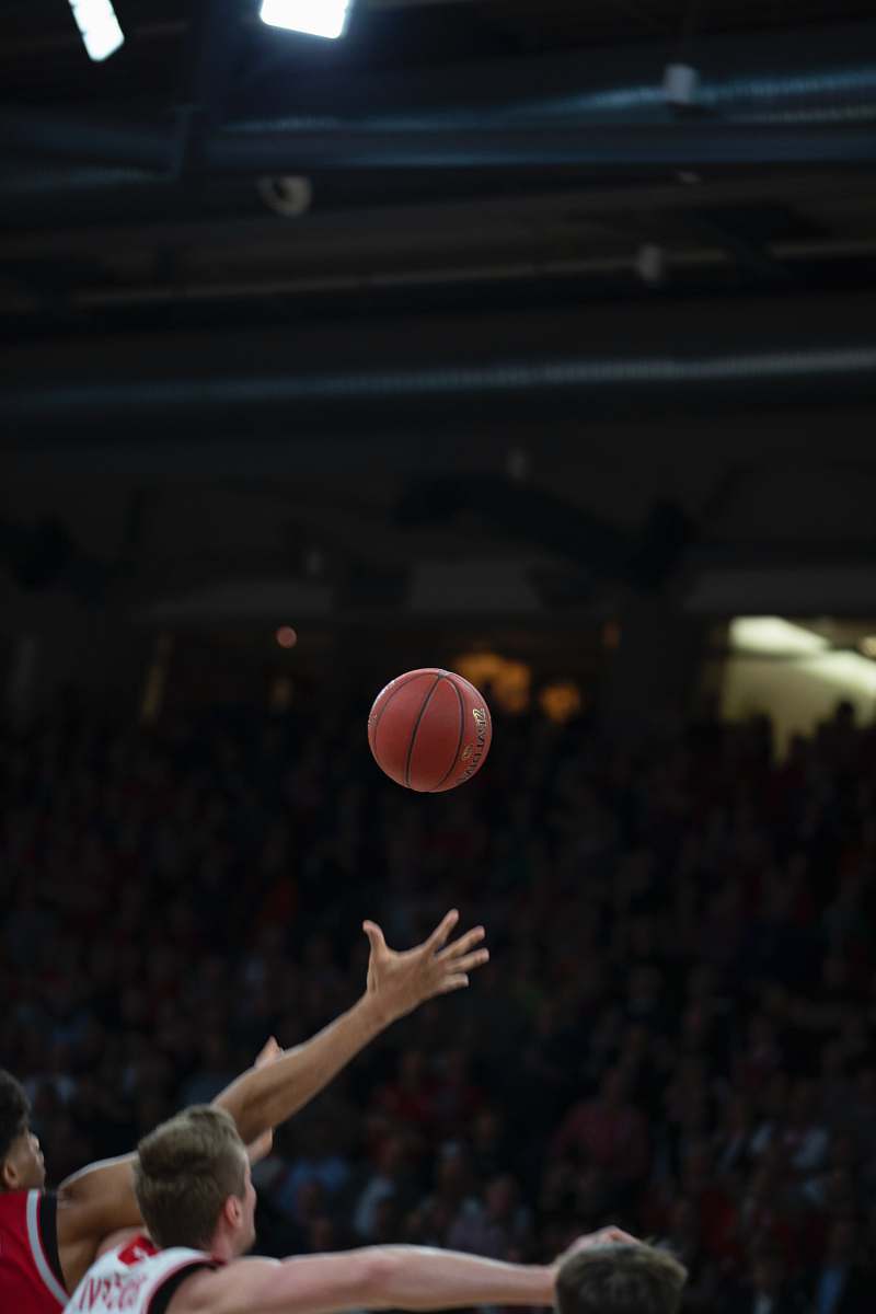 person person near basketball team