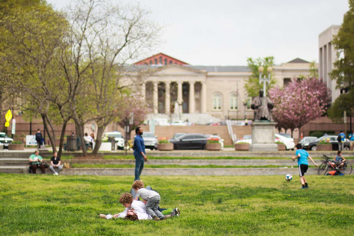 grass photo of boy playing on grass field plant
