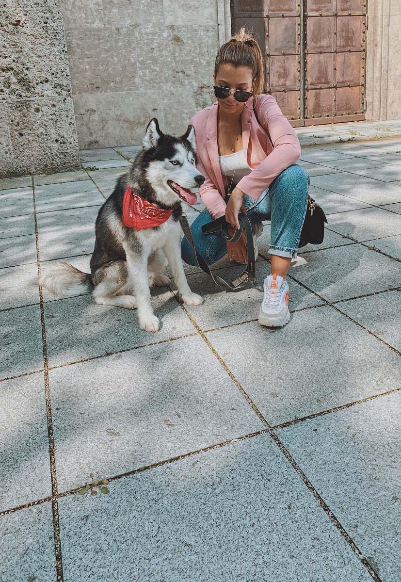 person woman kneeling beside Siberian husky dog
