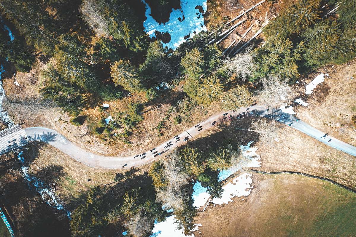 nature vehicles on paved road outdoors