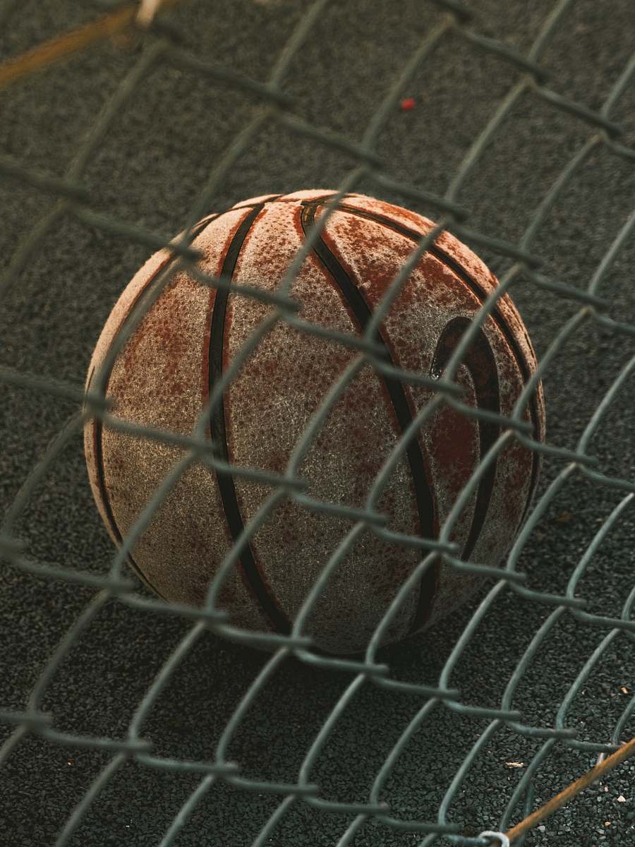 lyon brown and black basketball with autograph france