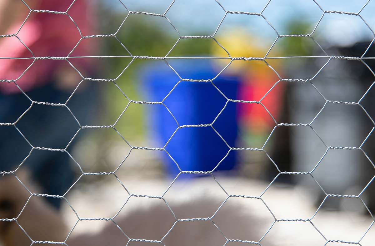 honeycomb selective focus photography of grey link enriqueortega