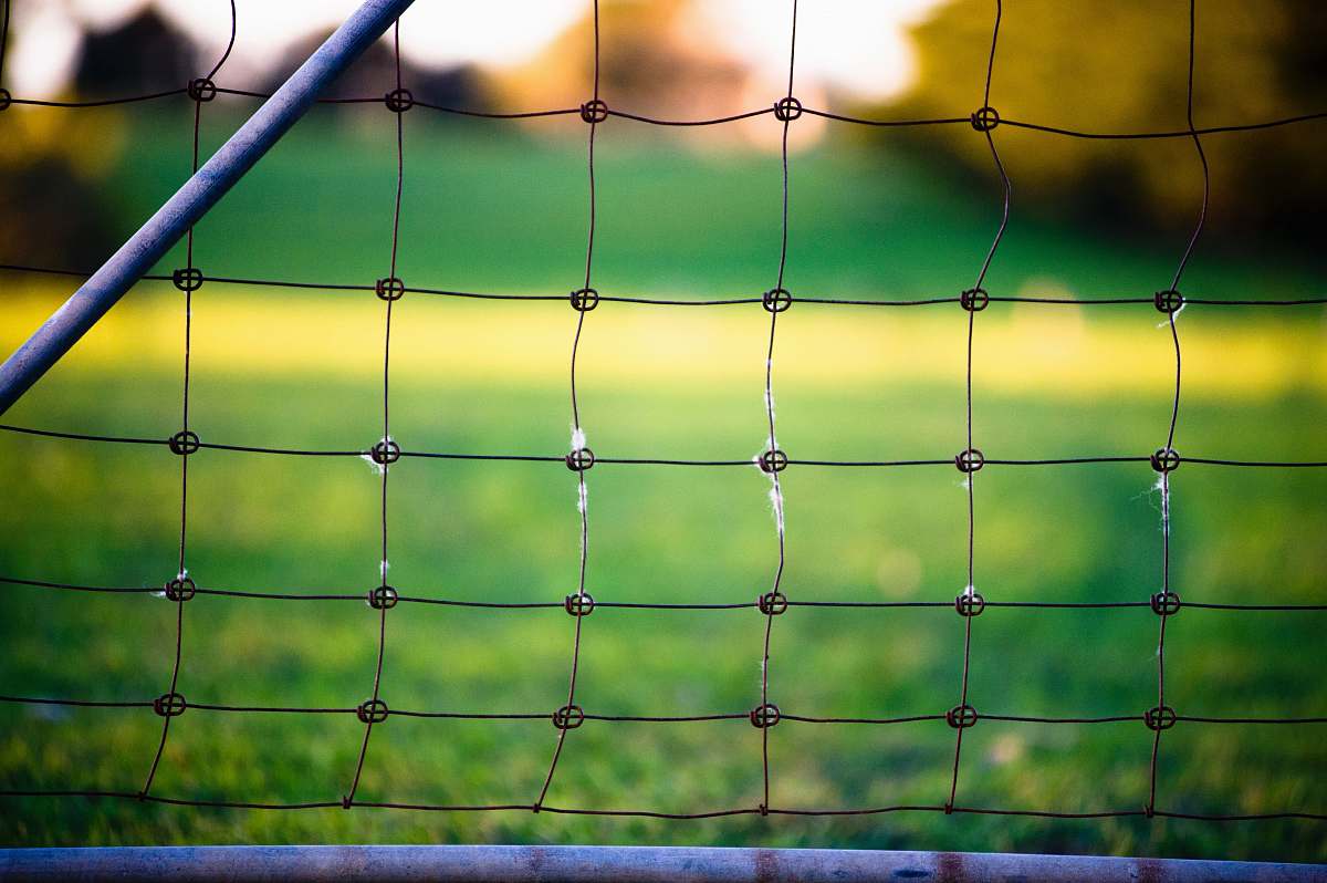 fence chain link fence sports
