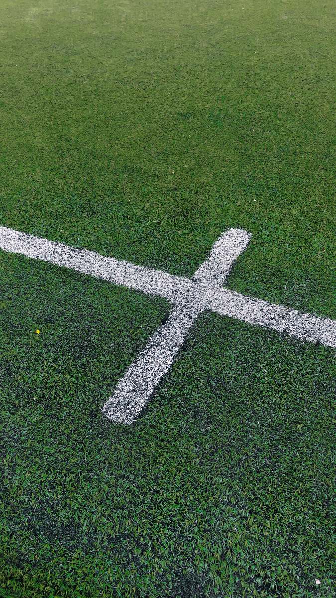 field green grass field sports