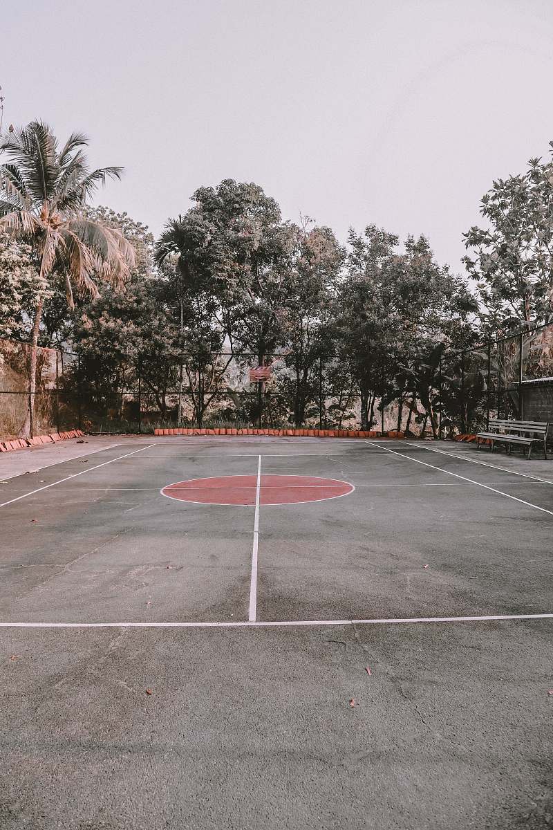 sports green trees beside basketball court team