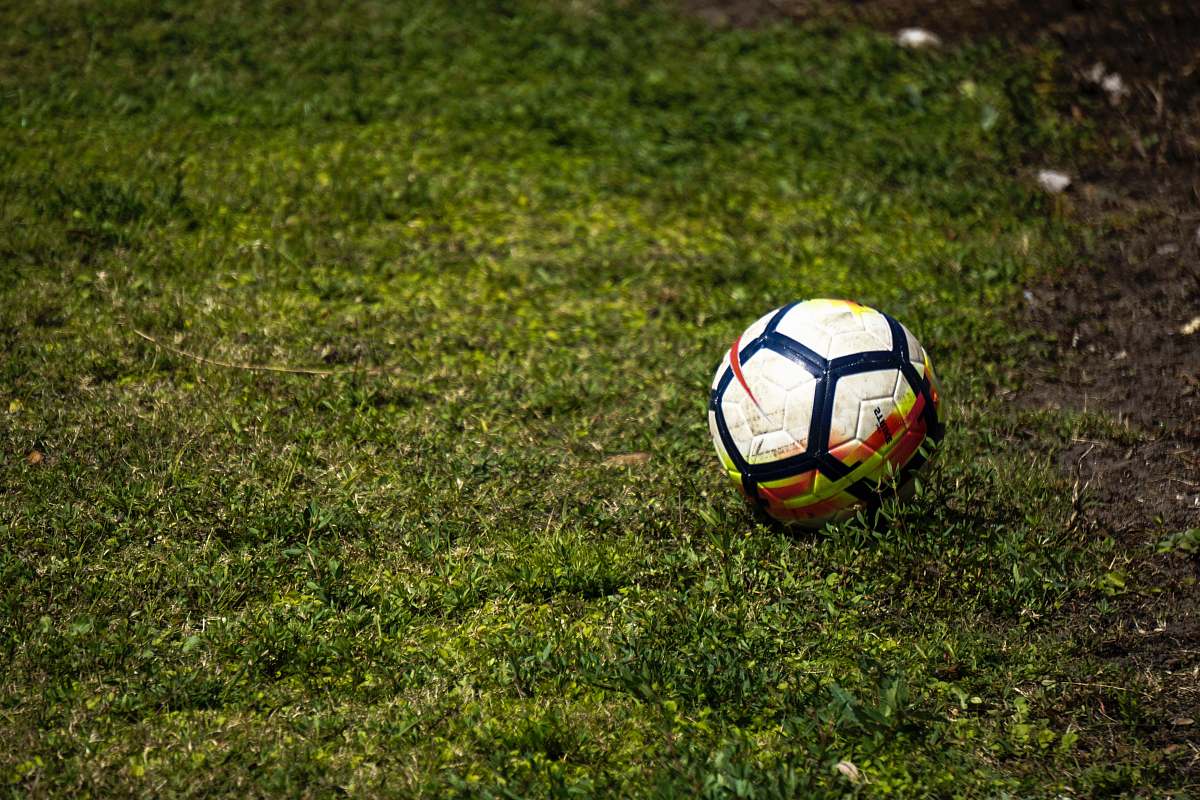soccer white and black soccer ball on green grass team
