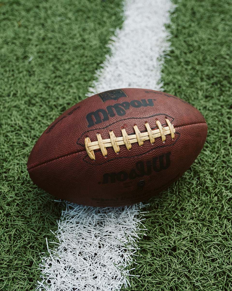 sport brown Wilson American football on grass football