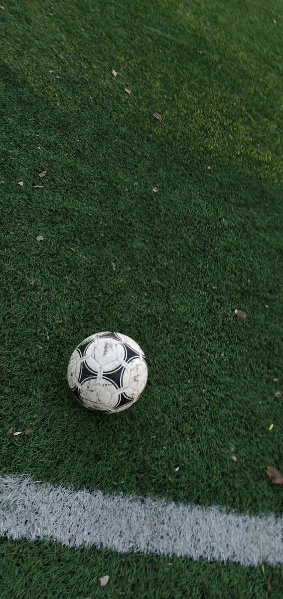 grey white and black soccer ball on grass team sport