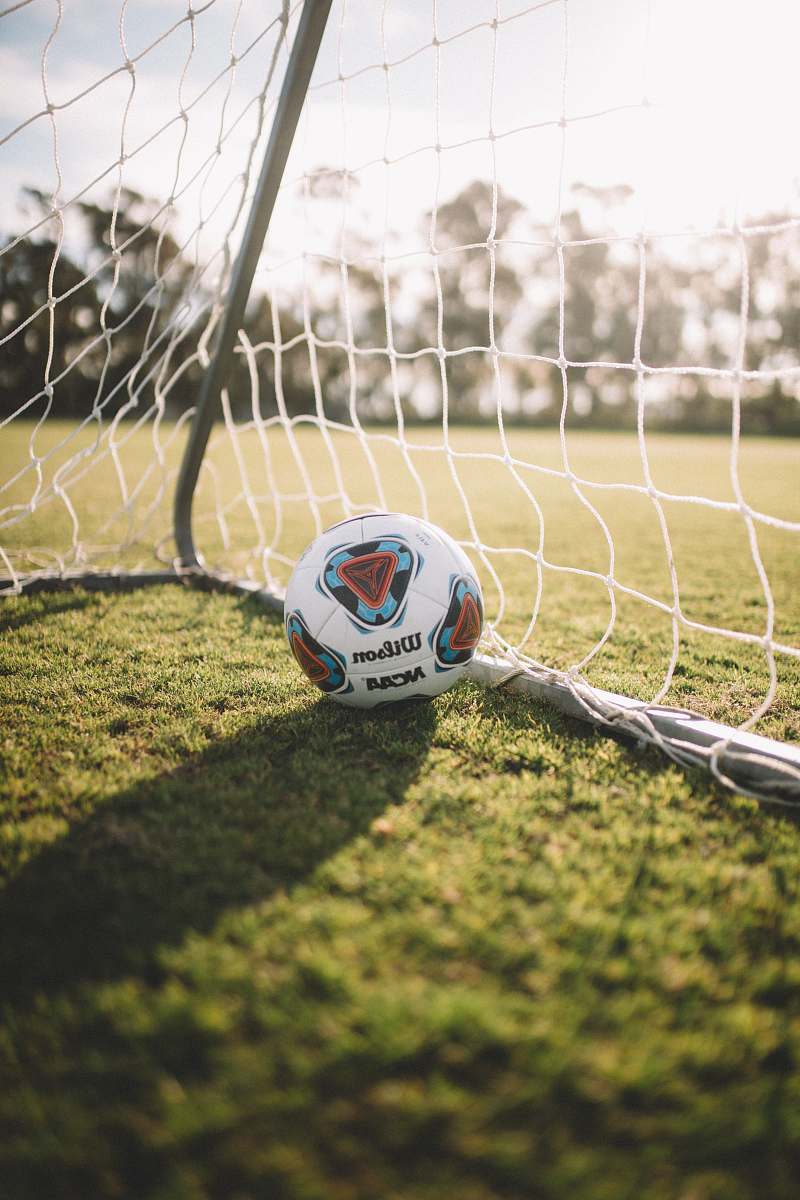 ball white Wilson soccer ball beside net goal football