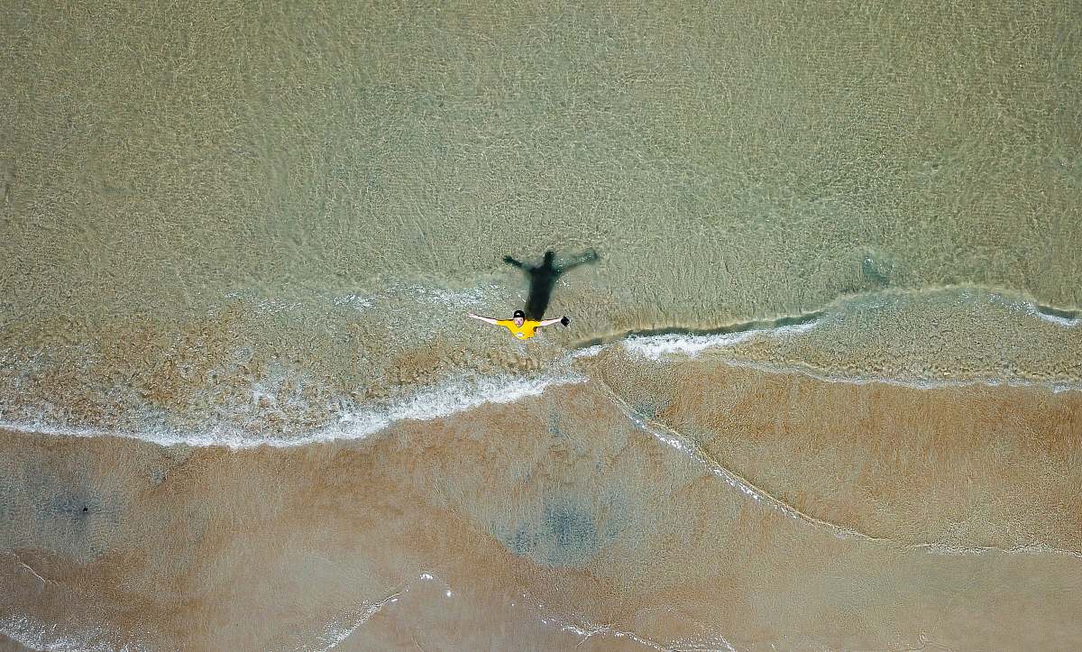 bird aerial photography of person on seashore flying