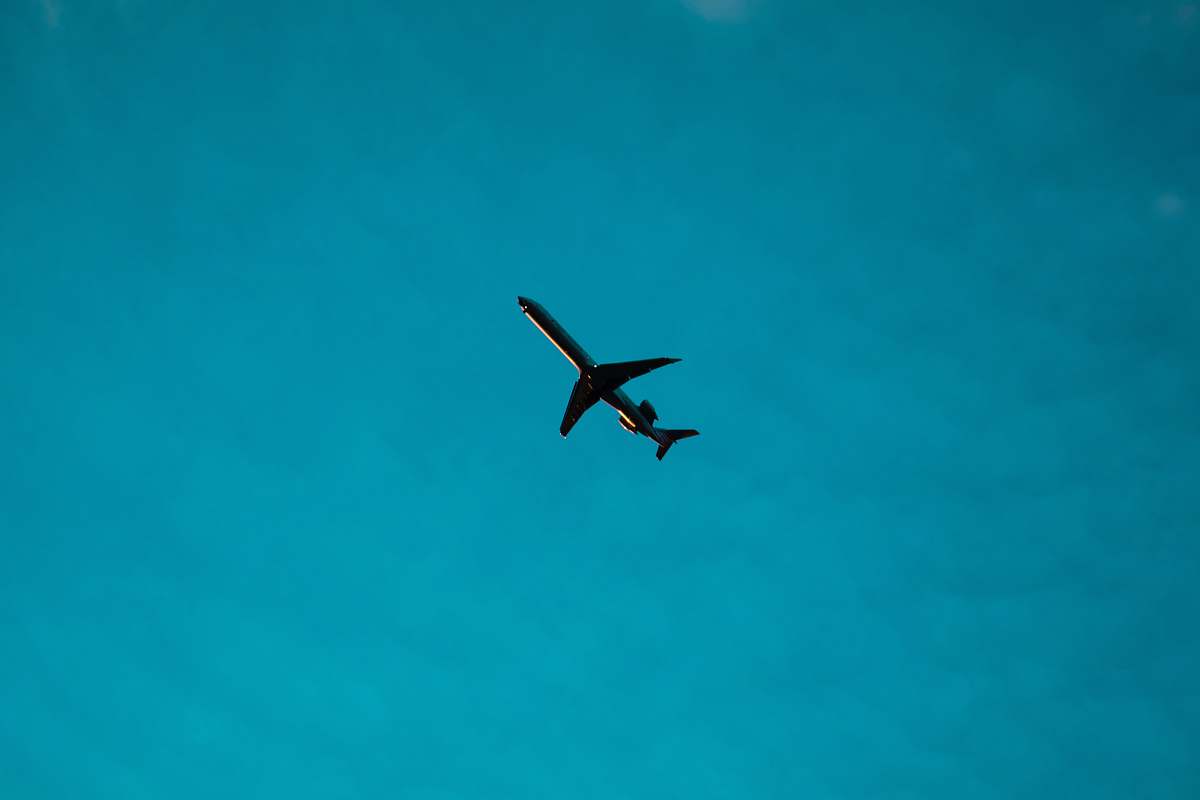 bird airliner on air during daytime flying
