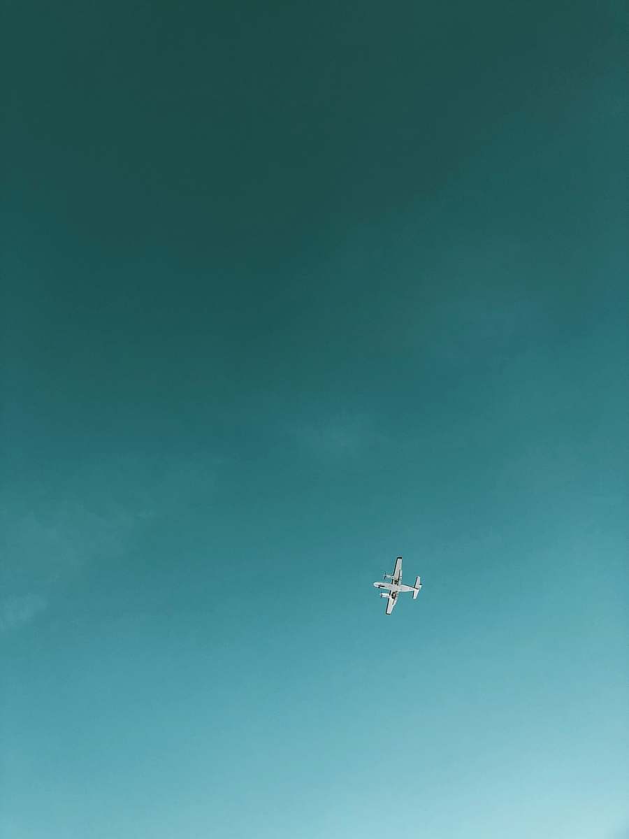 bird airliner on flight flying