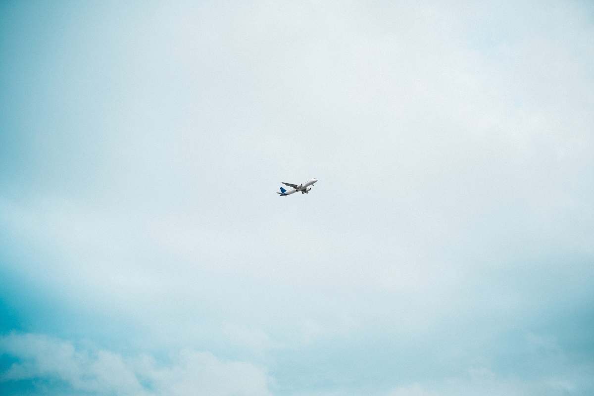 bird airplane in mid air during day flying
