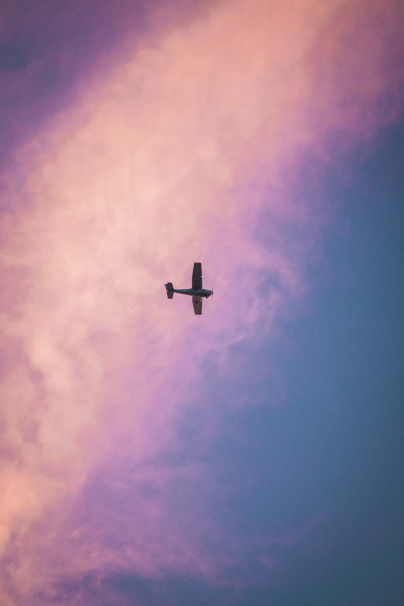 bird airplane in midair during day flying