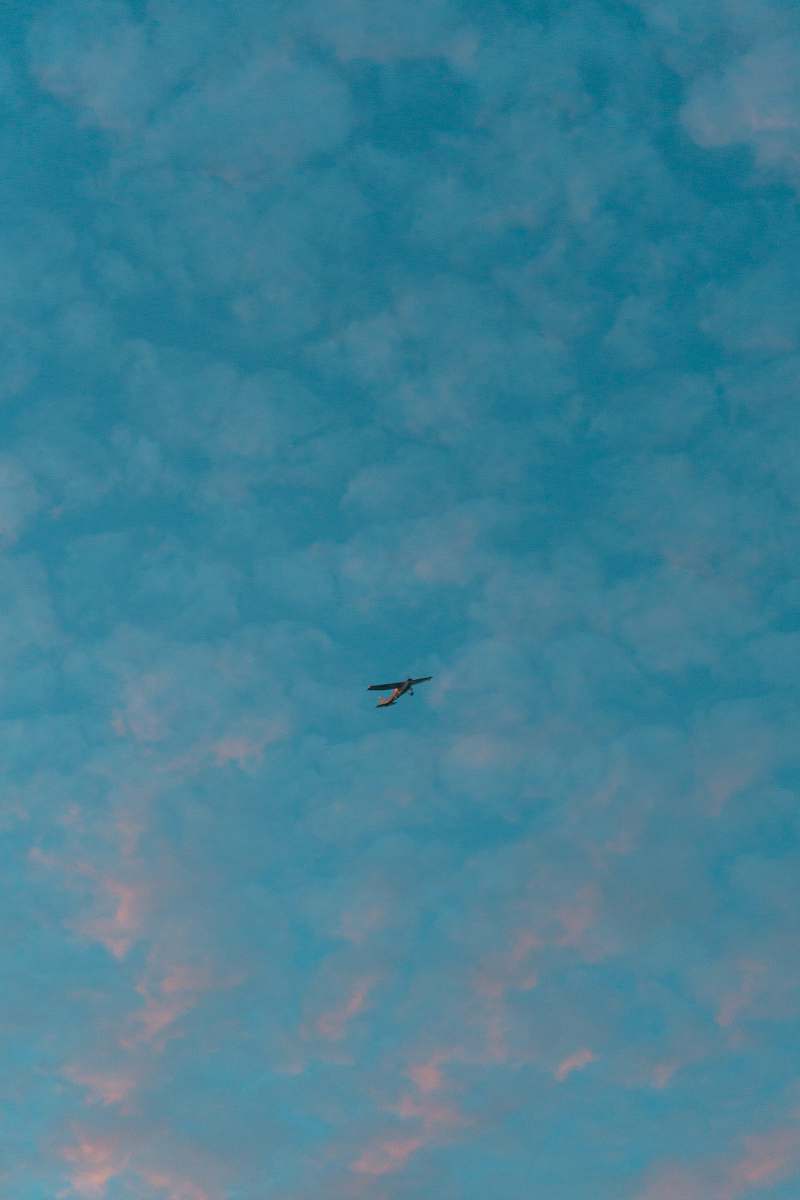 flying airplane on mid air under clear blue sky bird