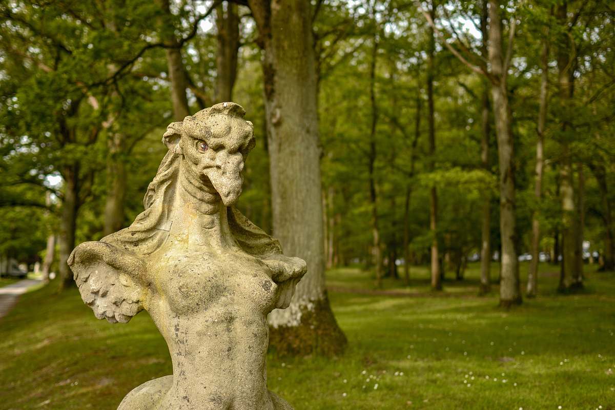 mammal bird with human body and wings statuette lion