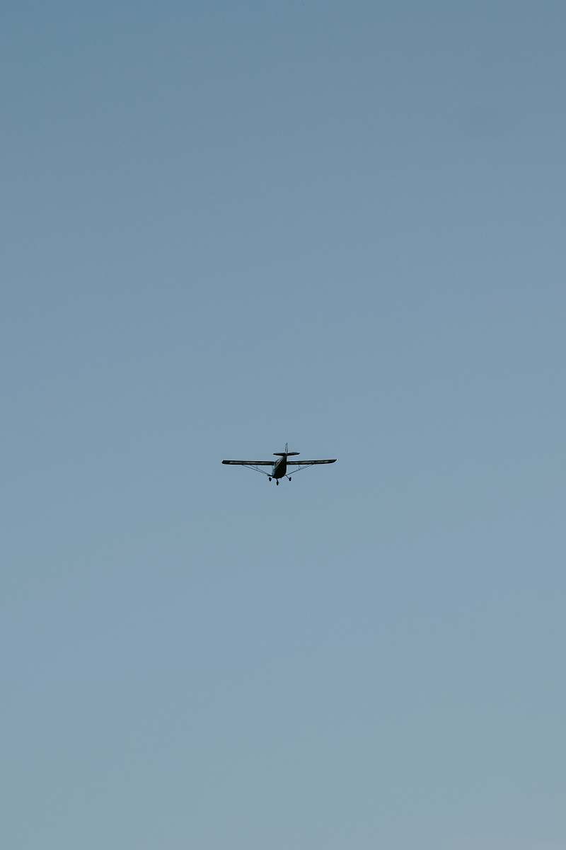 bird black airplane grey